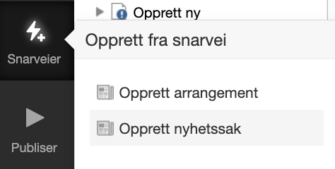 ikon snarveier