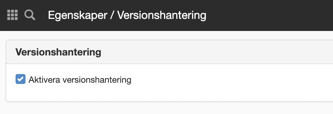 Versionshantering fil