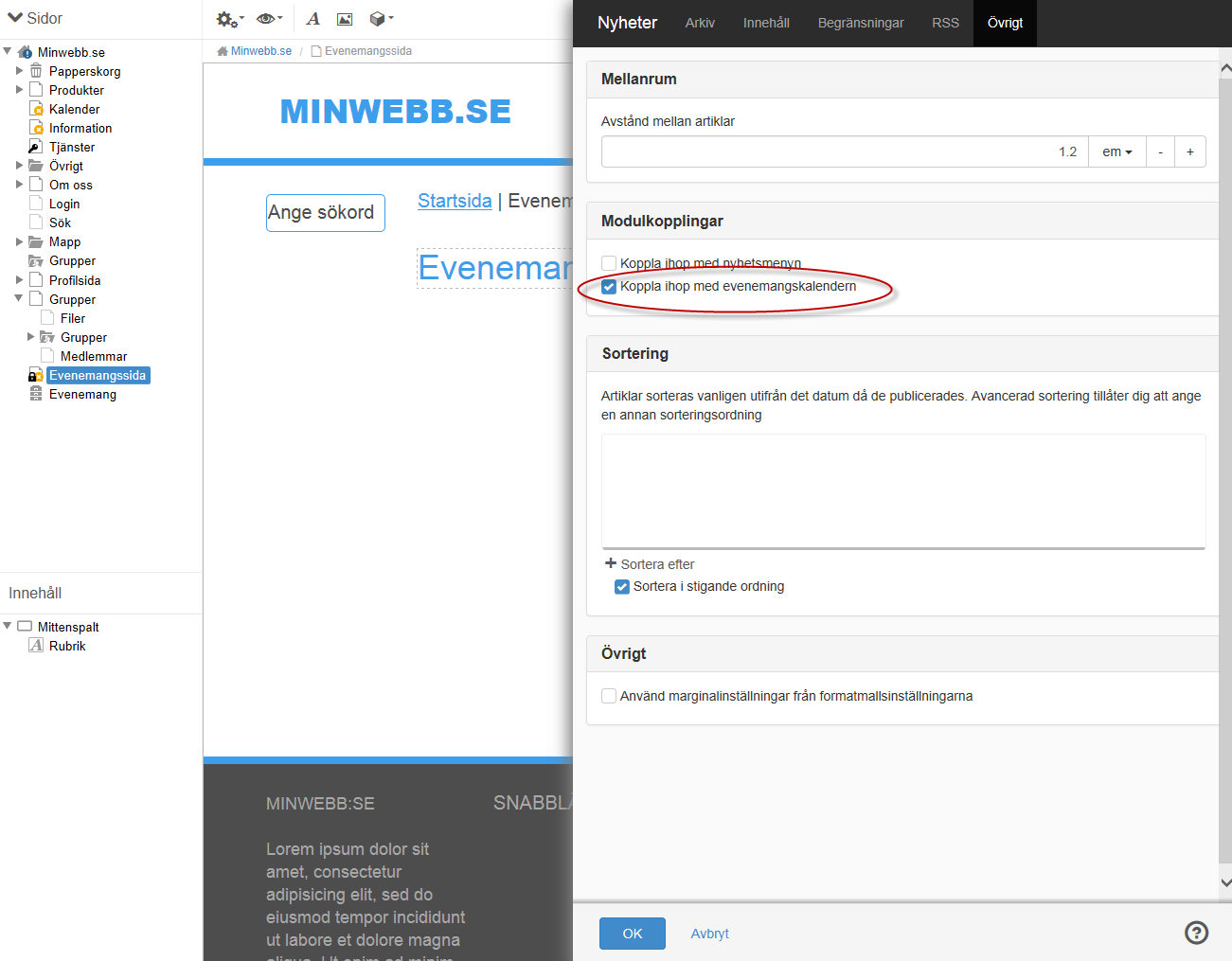 Skärmdump på fliken Avancerat för nyheter