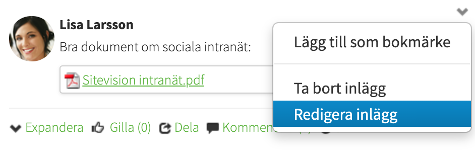 Redigera inlägg