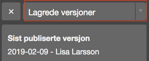 Lagrade versjoner