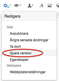 Egenskaper på sida, Spara version
