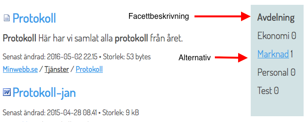 Exempel på facettbeskrivning och alternativ