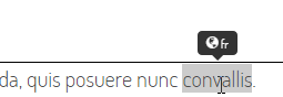 Hover effekt för språk