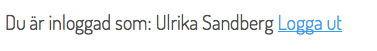 Namn inloggad som