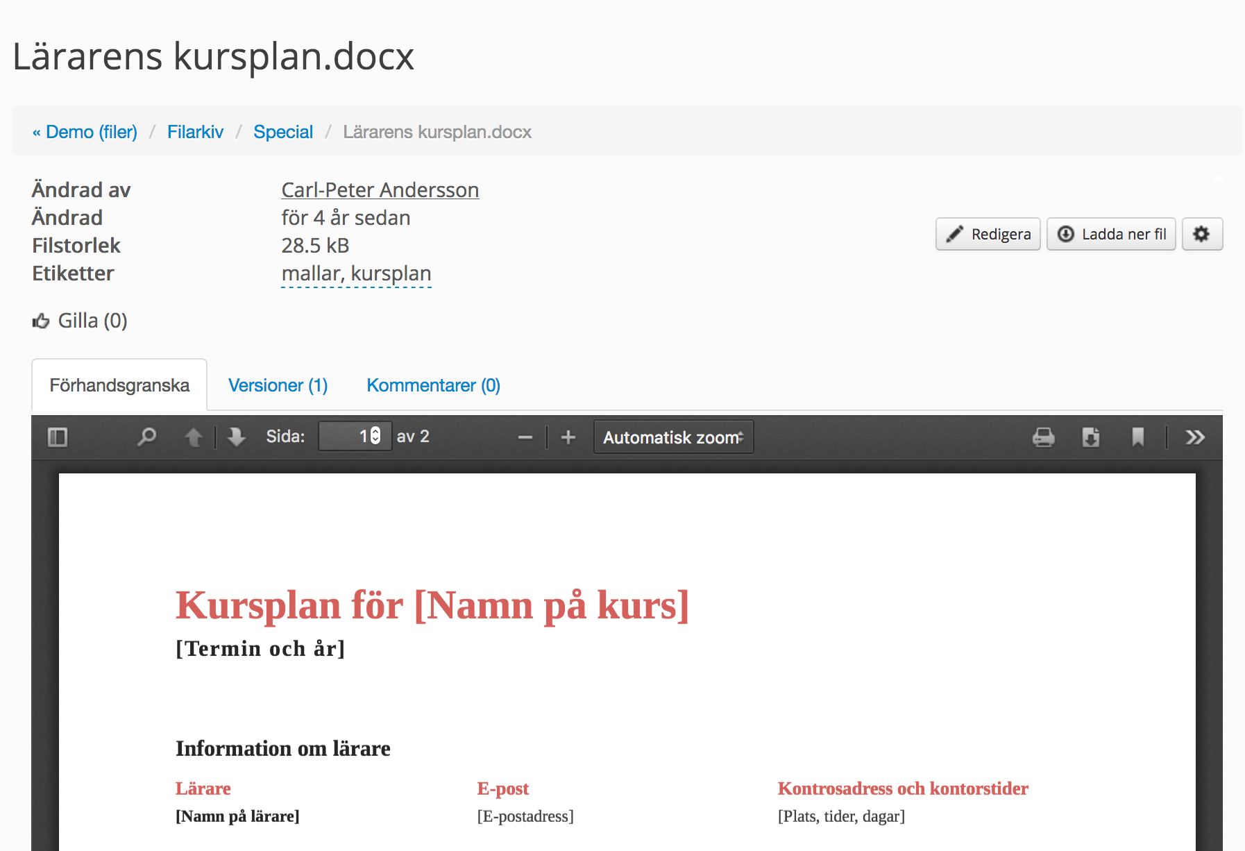 Detaljerad filinformation