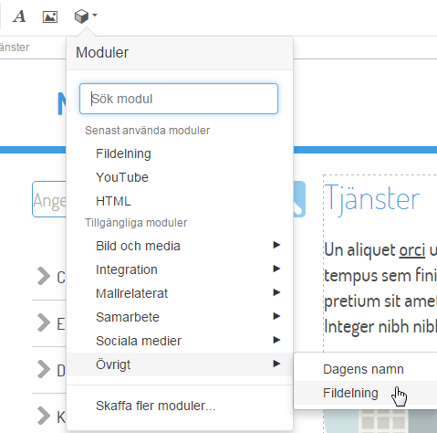 Övrigt