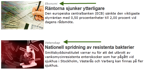 Eget metadata "Kategori"
