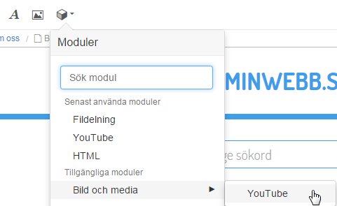 Bild och media