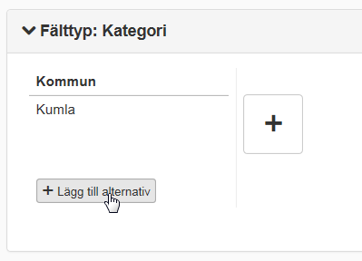 Skärmdump på fliken Alternativ