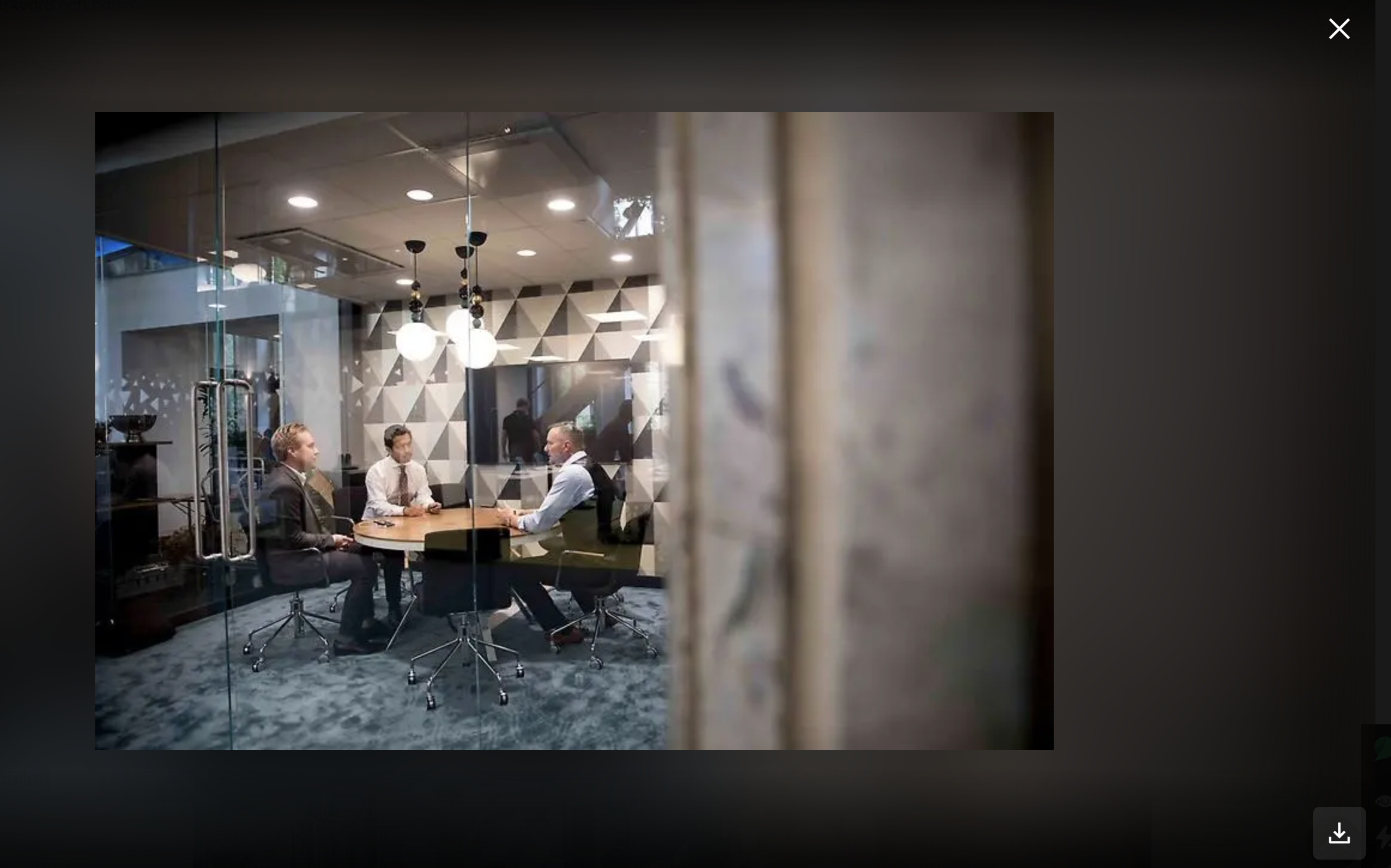 Bildzoom på bild