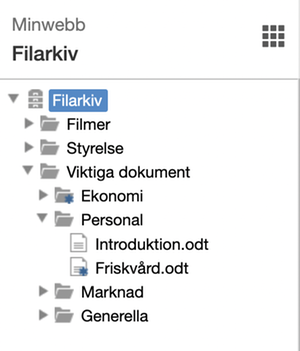 Ikon för nedladdningsskyddad fil