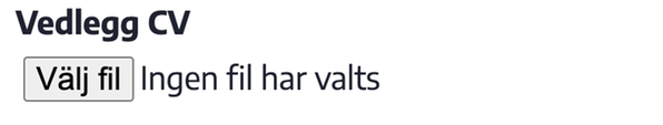 Vedlagt fil eksempel