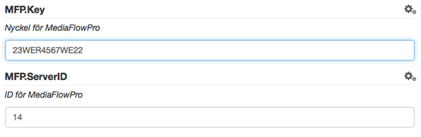 Metadata värden