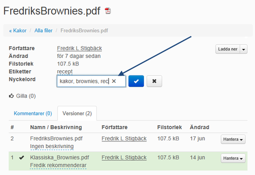 Metadata nyckelord på filer